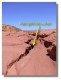 Thumbs/tn_P 1.jpg